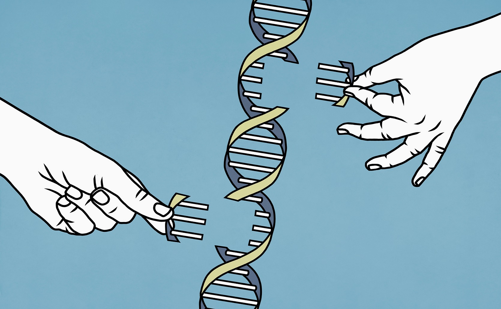El Código Del Genoma Humano Por Fin Está Completo Salida De Emergencia